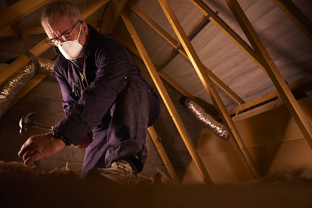 Best Insulation for New Construction  in Aristocrat Ranchettes, CO