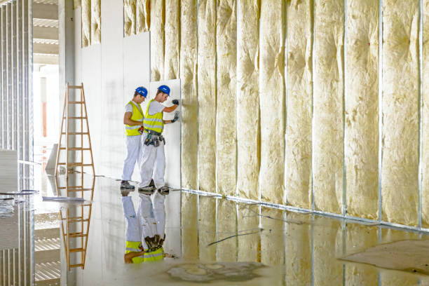 Best Insulation Inspection Services  in Aristocrat Ranchettes, CO